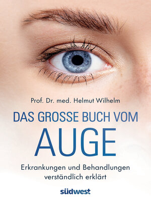 cover image of Das große Buch vom Auge